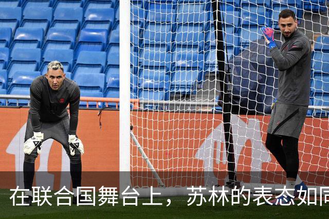 在联合国舞台上，苏林的表态如同一场外交“大秀